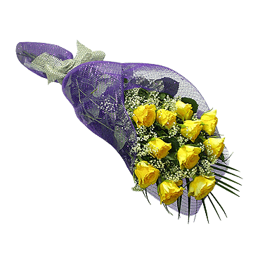 Сонячне сяйво