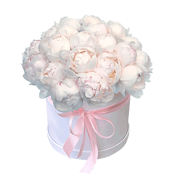 Floral Dream