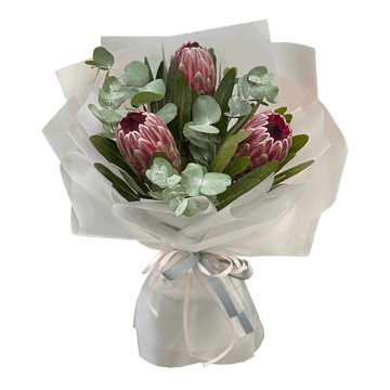 Тропічна гармонія