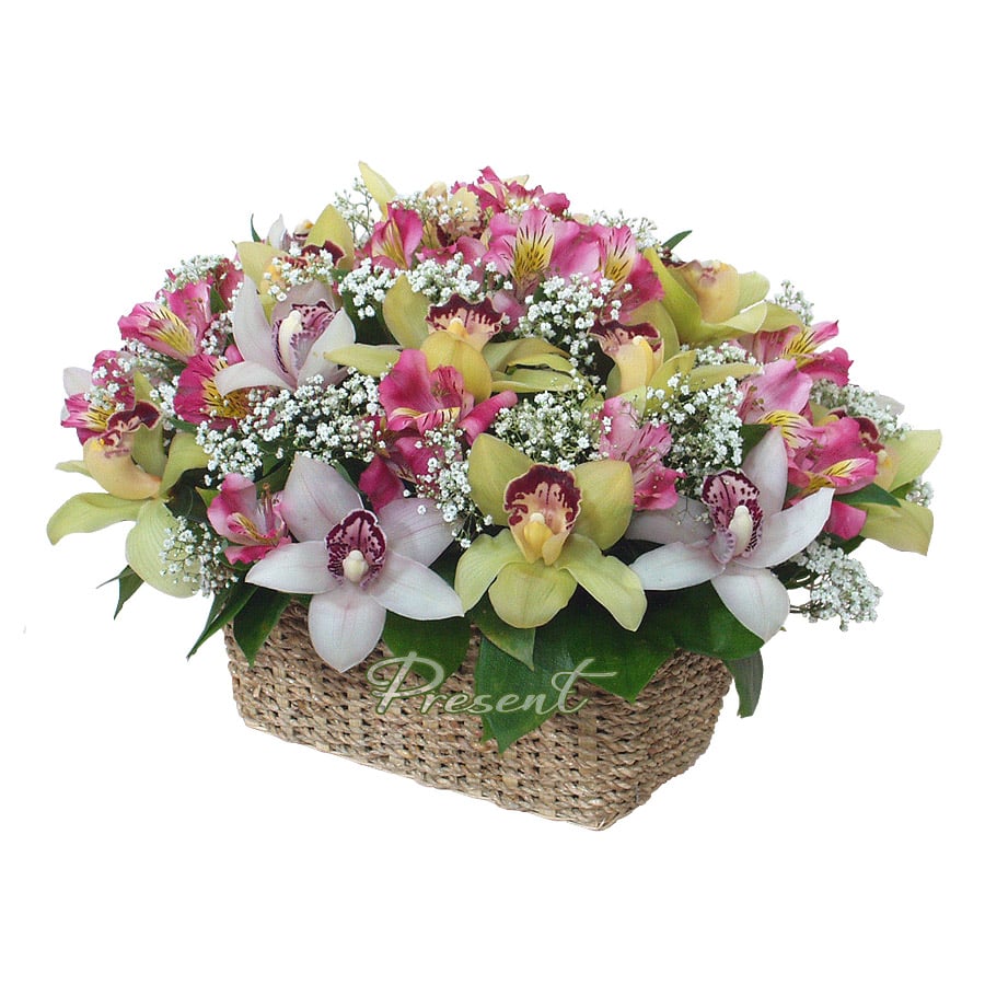 Panier avec des orchidees — une composition qui émerveille par son originalité