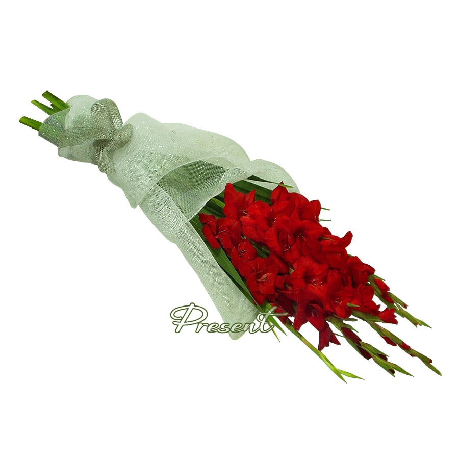 Gladiolus Bouquet — Poise and Grace