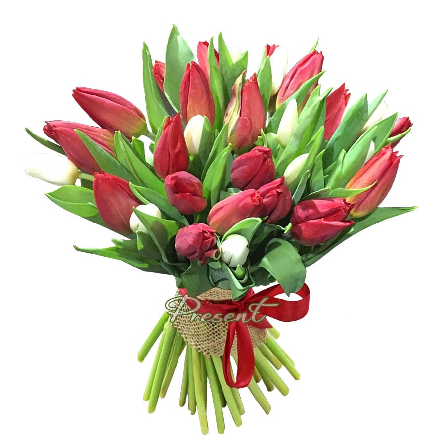 Bouquet de tulipes rouges et blanches — passion et tendresse dans chaque détail